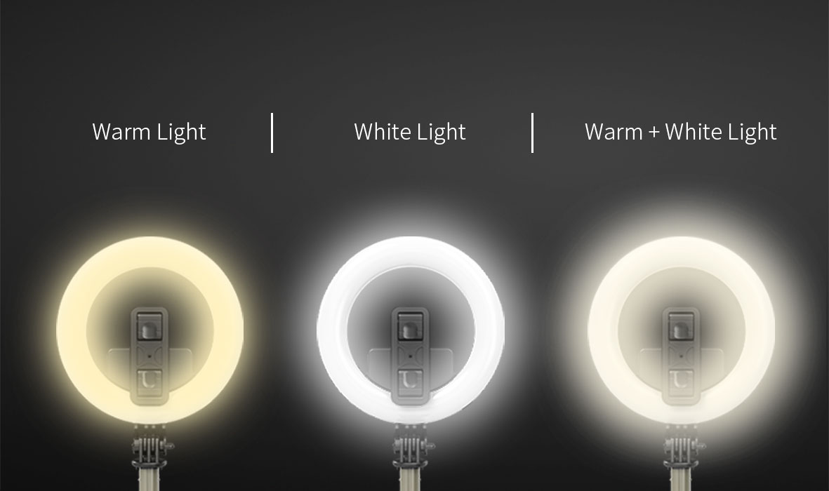 Selfie Stick Tripod with LED Fill Light - Image 13